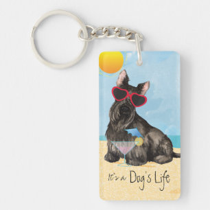 Summer Scottish Terrier