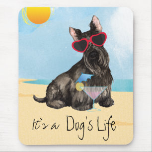 Summer Scottish Terrier Musmatta
