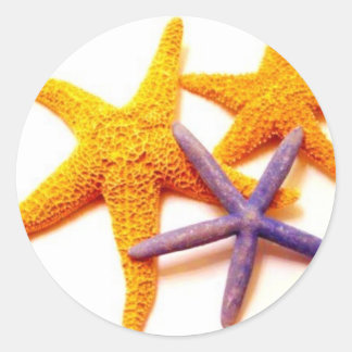 Summer Starfish Stickers Runt Klistermärke