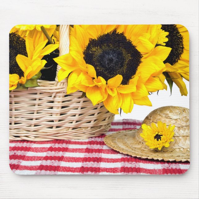 Summer Sunshine Musmatta (Framsidan)