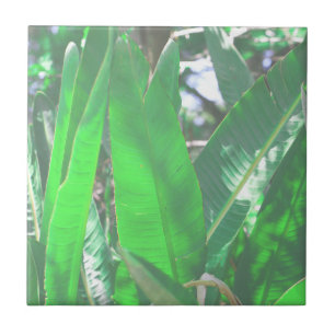 Summer Vibes Banana Träd Löv Blek Grönt Pastel Kakelplatta