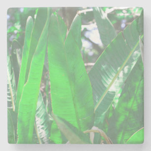 Summer Vibes Banana Träd Löv Blek Grönt Pastel Stenunderlägg