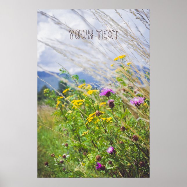 Summer Wildblomme Meadow Poster (Framsidan)