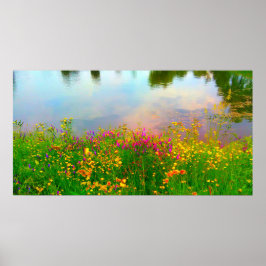 Summer Wildblommor och Pond Poster
