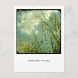Summerfield Himlar Grasses Vykort