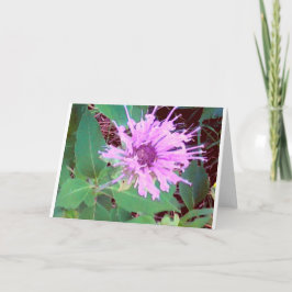 SummerFlower.jpg Kort