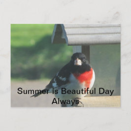 Summers Beautty Vykort