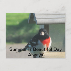 Summers Beautty Vykort