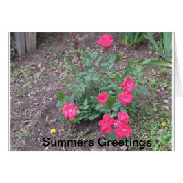 Summers Kärlek Hälsningskort