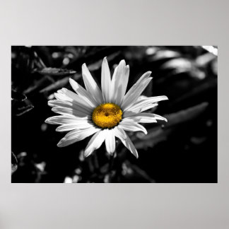 Summertime Beauty Poster