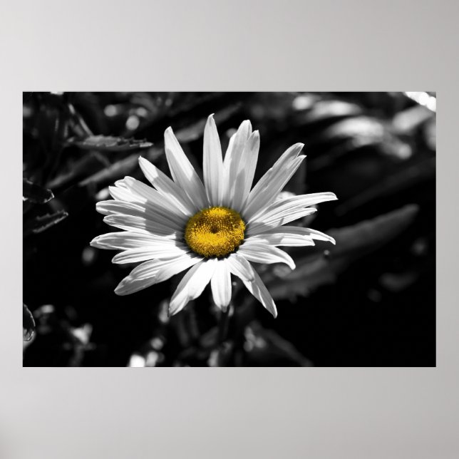 Summertime Beauty Poster (Framsidan)