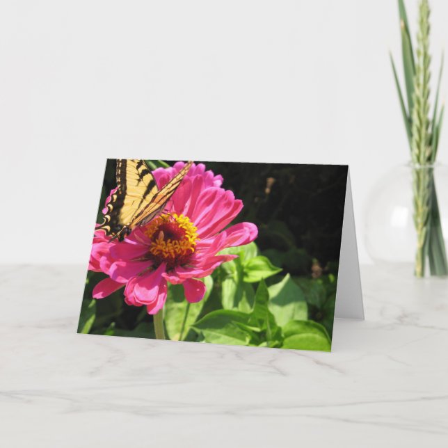 Summertime Friends 2 Kort (Framsida)