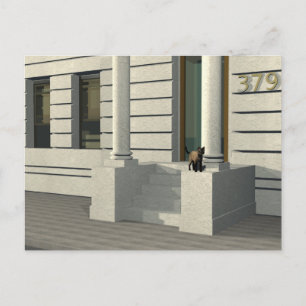 Summertime-katt Vykort