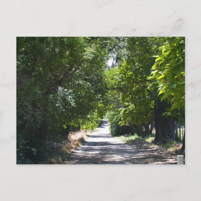 Summertime Vykort (Framsida)