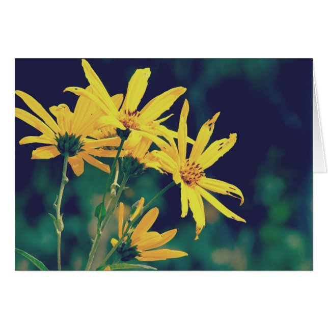 Summertime Wildblommor Hälsningskort (Framsidan Horizontal)