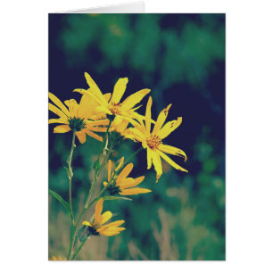 Summertime Wildblommor Hälsningskort