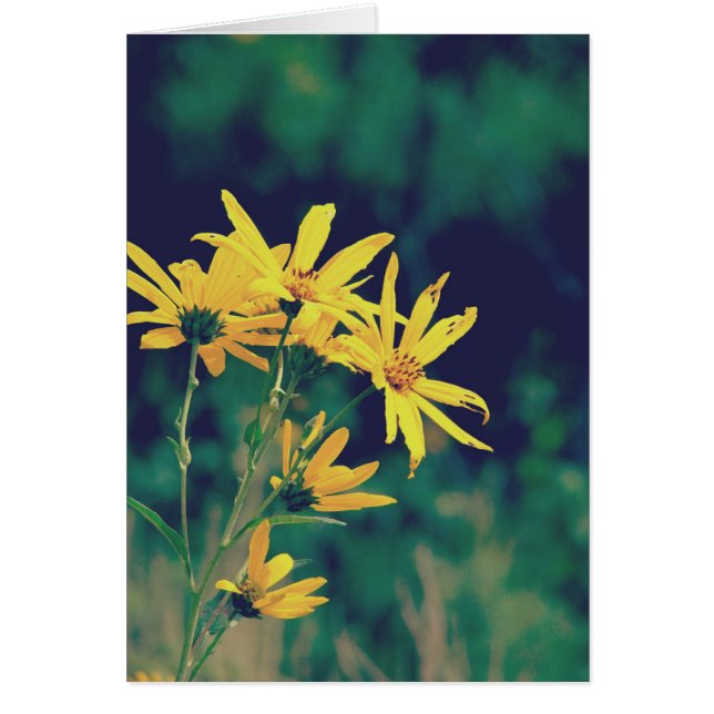 Summertime Wildblommor Hälsningskort (Framsidan)