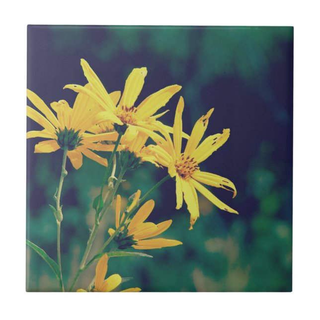 Summertime Wildblommor Kakelplatta (Framsidan)