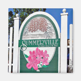 Summerville, Charleston, South Carolina, Magnet