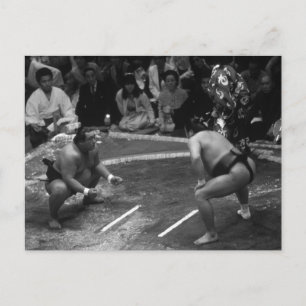 SUMO Wrestling Vykort