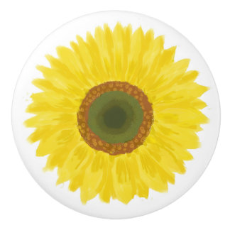 Sun flower knopp