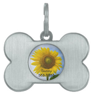 Sun Flower mot Blå himmel Namnbricka Husdjur