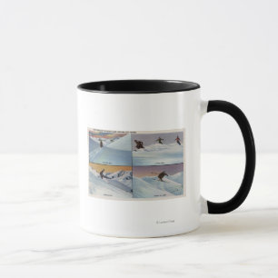 Sun Valley legitimation - skida Mugg