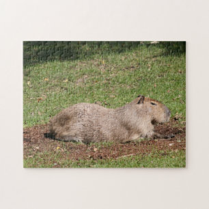 Sunbad Capybara Pussel