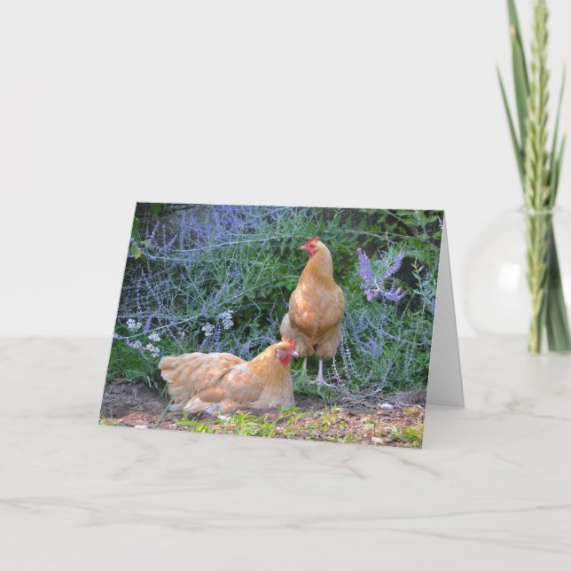 Sunbad Hens Notecard Kort (Framsida)