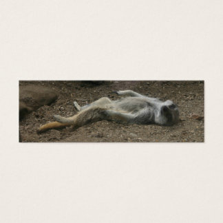 Sunbad Meerkat Bookmark Litet Visitkort