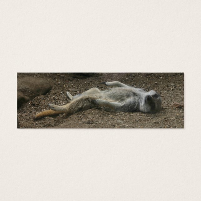 Sunbad Meerkat Bookmark Litet Visitkort (Framsidan)