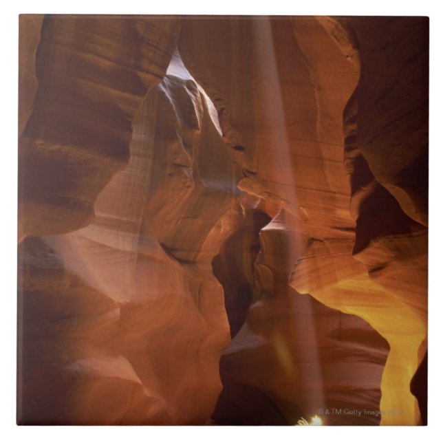 Sunbeam som slår tumbleweeden på kanjongolv kakelplatta (Framsidan)