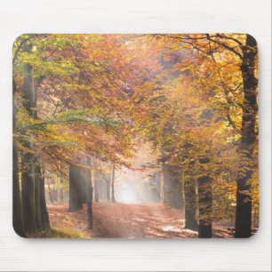 Sunbeams i en höstskogmousepad musmatta