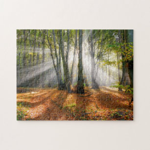 Sunbeams in a misty Beech träd forest in höst - Pussel