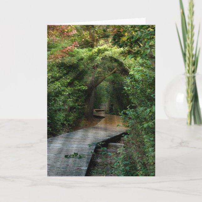 Sunbeams in Skogen Sympathy Kort (Framsida)