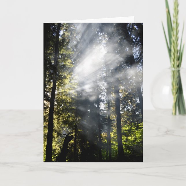 Sunbeams Kort (Framsida)