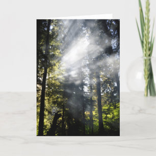 Sunbeams Kort