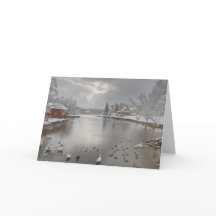 Sunbeams omfamnar dammen i anka