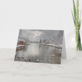 Sunbeams omfamnar dammen i anka kort