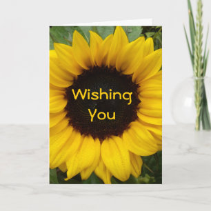 Sunblomma Grace Kort