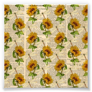 Sunblommor Dragonflies Old Newspaper Land Stil Fototryck
