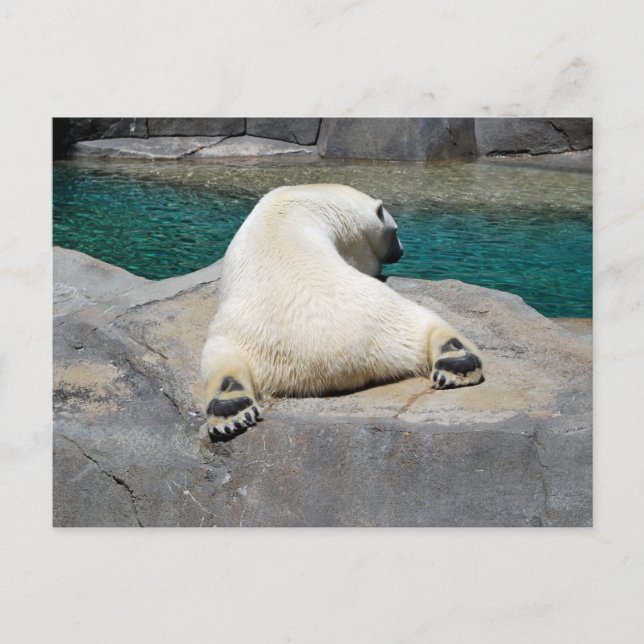 Sunbtern Vykort (Framsida)