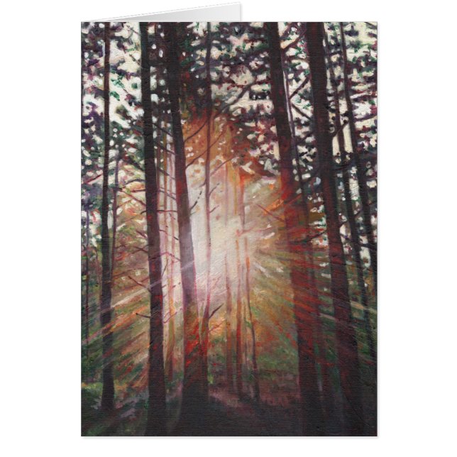 Sunburst 2010 hälsningskort (Framsidan)