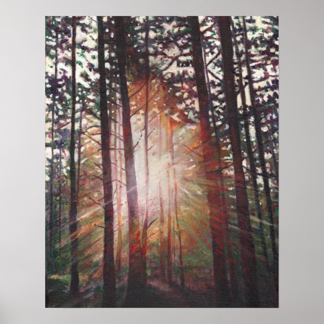 Sunburst 2010 poster (Framsidan)