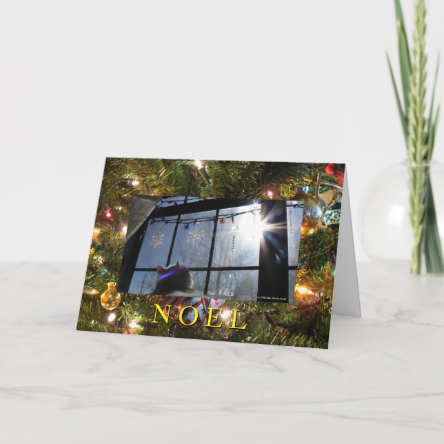 Sunburst Cat 2/Noel Helgkort (Framsida)