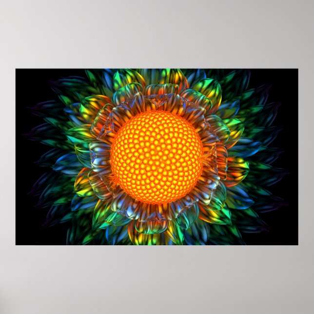 Sunburst Daisy Poster (Framsidan)