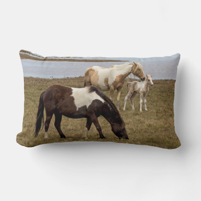 Sunburst Dekorativ kudde (Framsida)