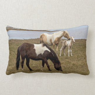 Sunburst Dekorativ kudde