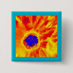 Sunburst Flower Knapp