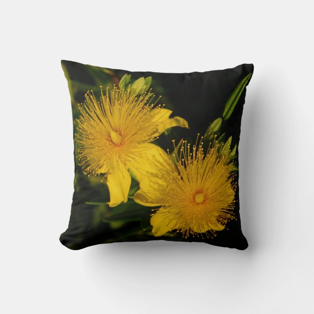 Sunburst Flowers Pillow Kudde (Framsida)